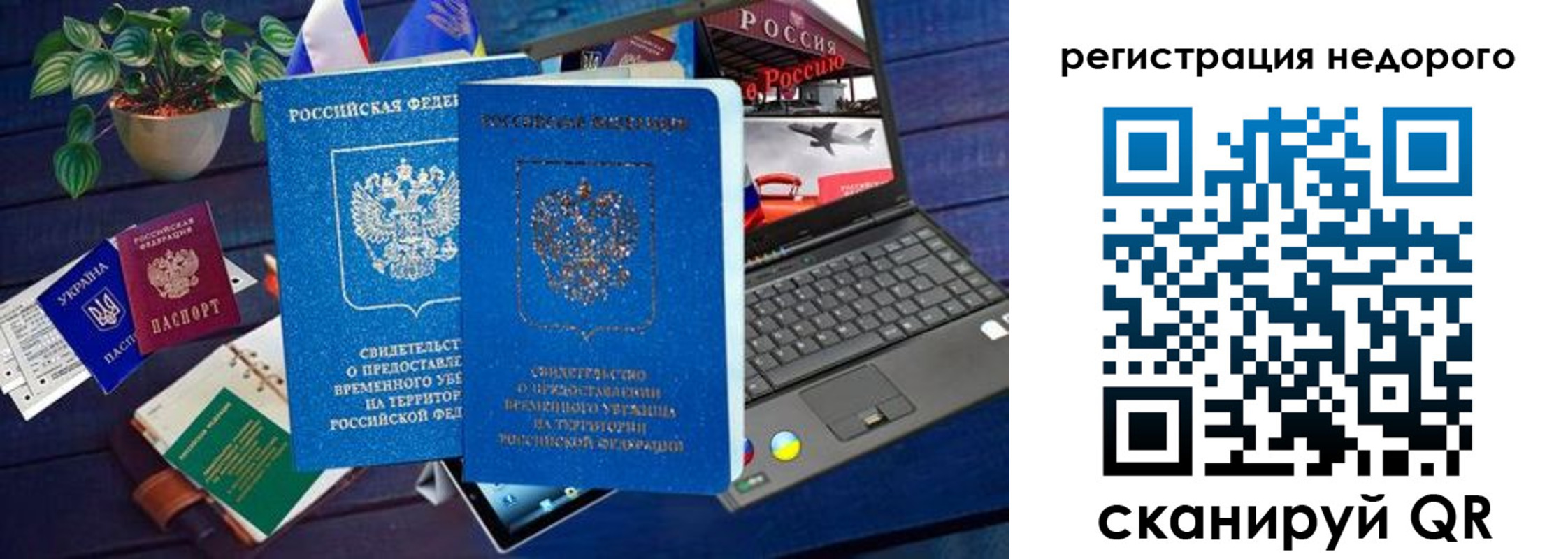 купить прописку в Пионерском